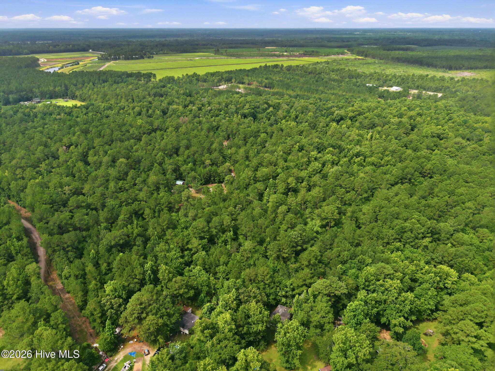 0 Copperhead Lane Property Photo 8