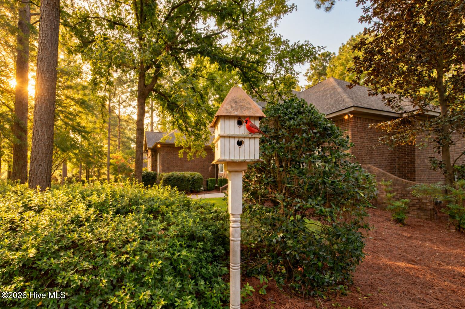 2208 Cardigan Drive Property Photo 31