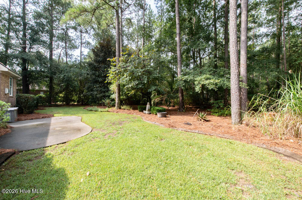 2208 Cardigan Drive Property Photo 33