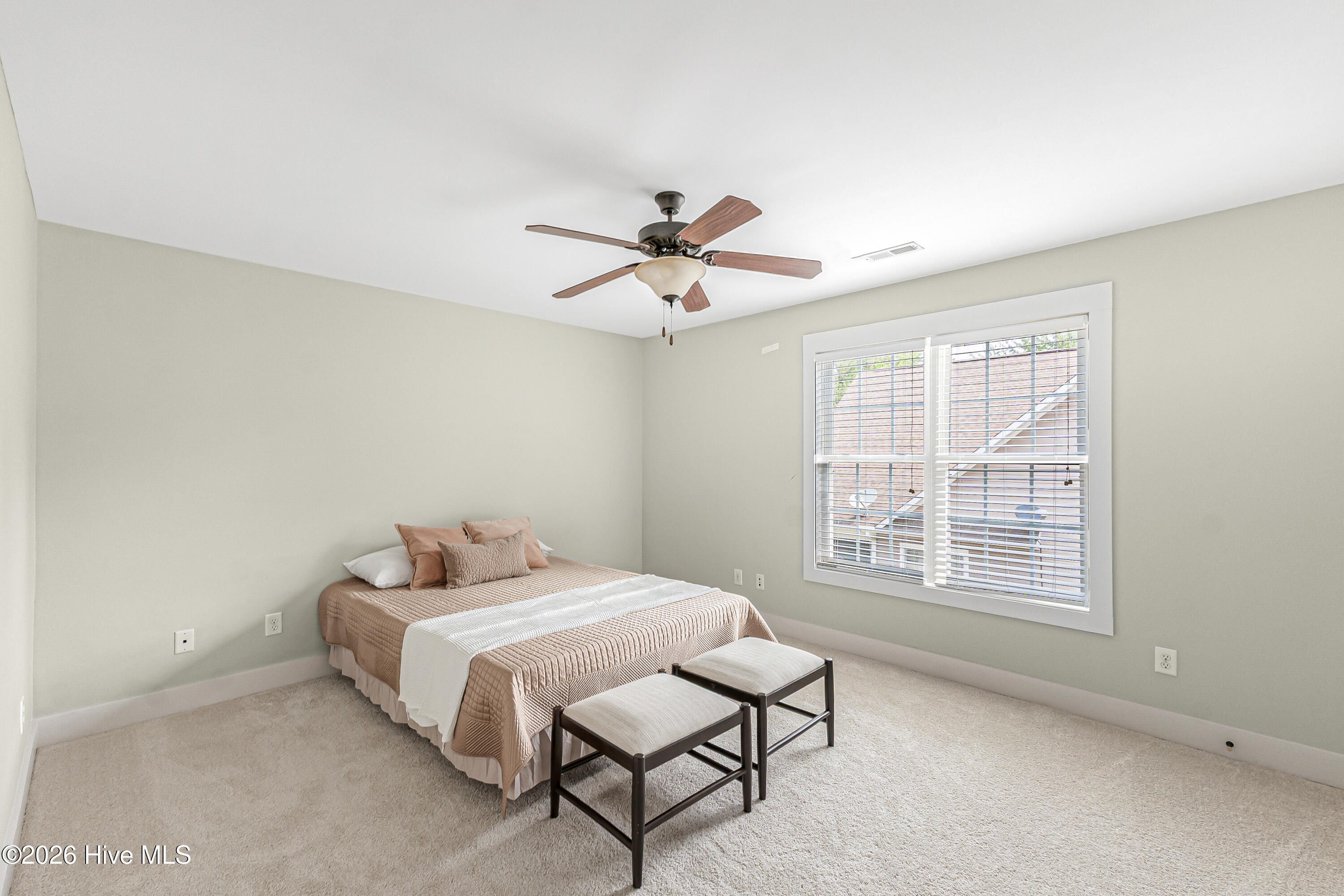 109 Campbell Street Property Photo 19