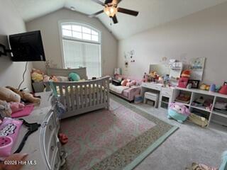 250 Dublin Loop Property Photo 15