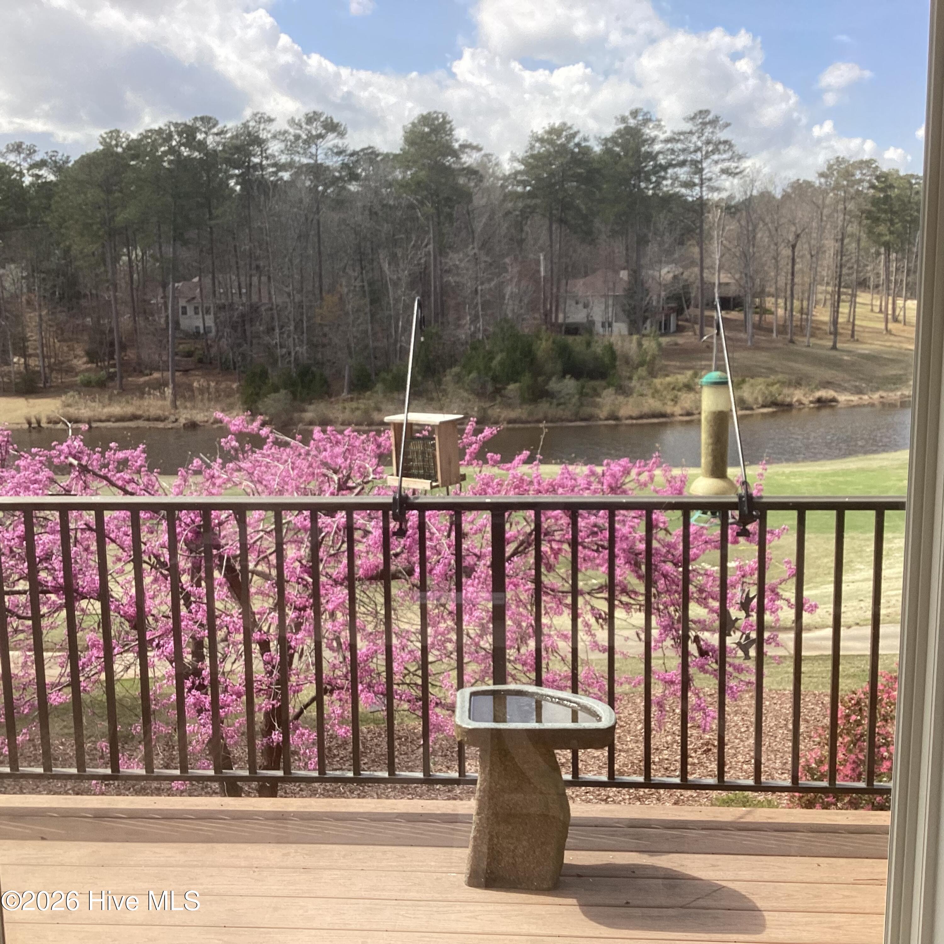 117 Kershaw Lane Property Photo 43