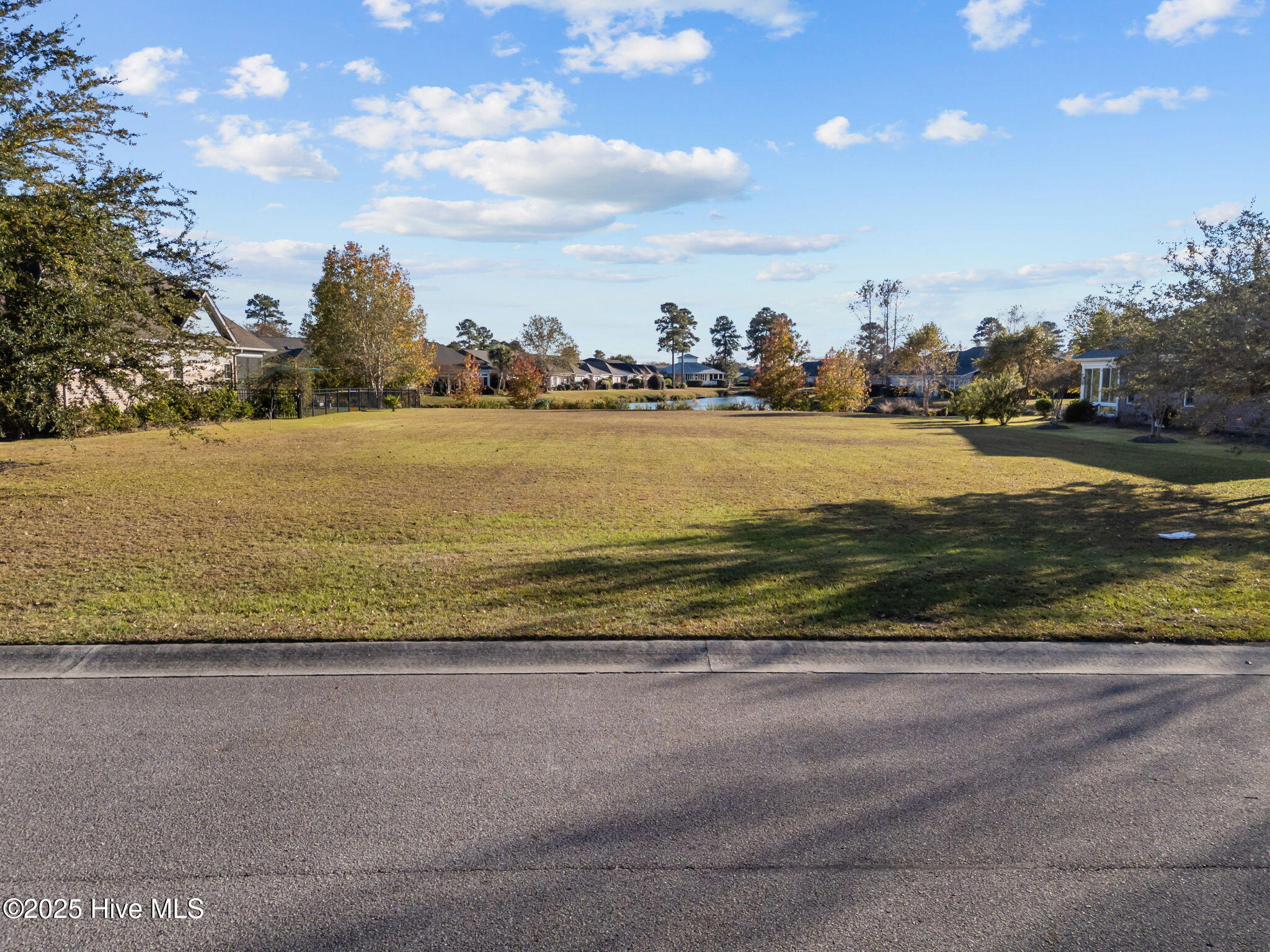 1117 Water Lily Way Property Photo 14