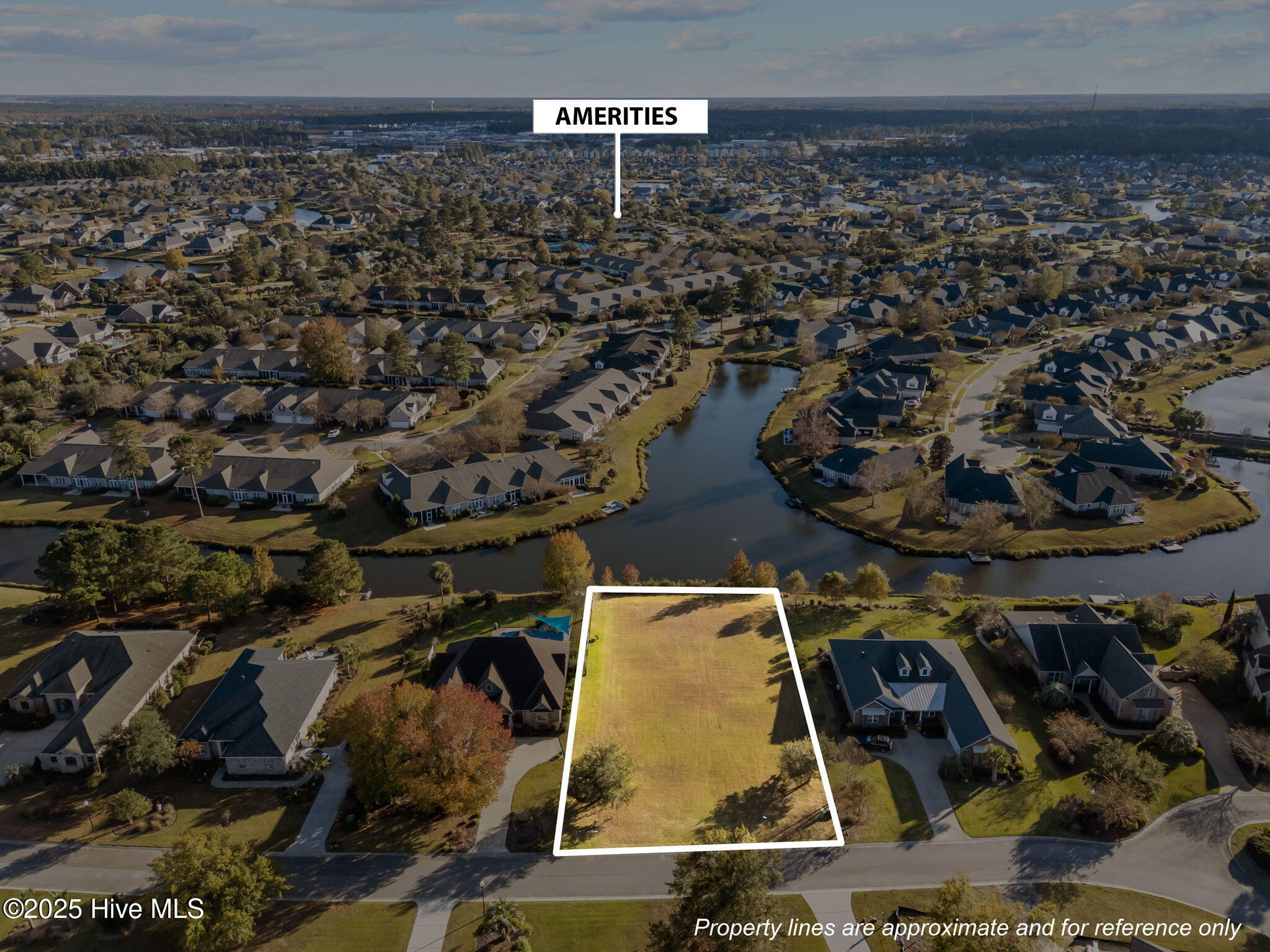 1117 Water Lily Way Property Photo 17