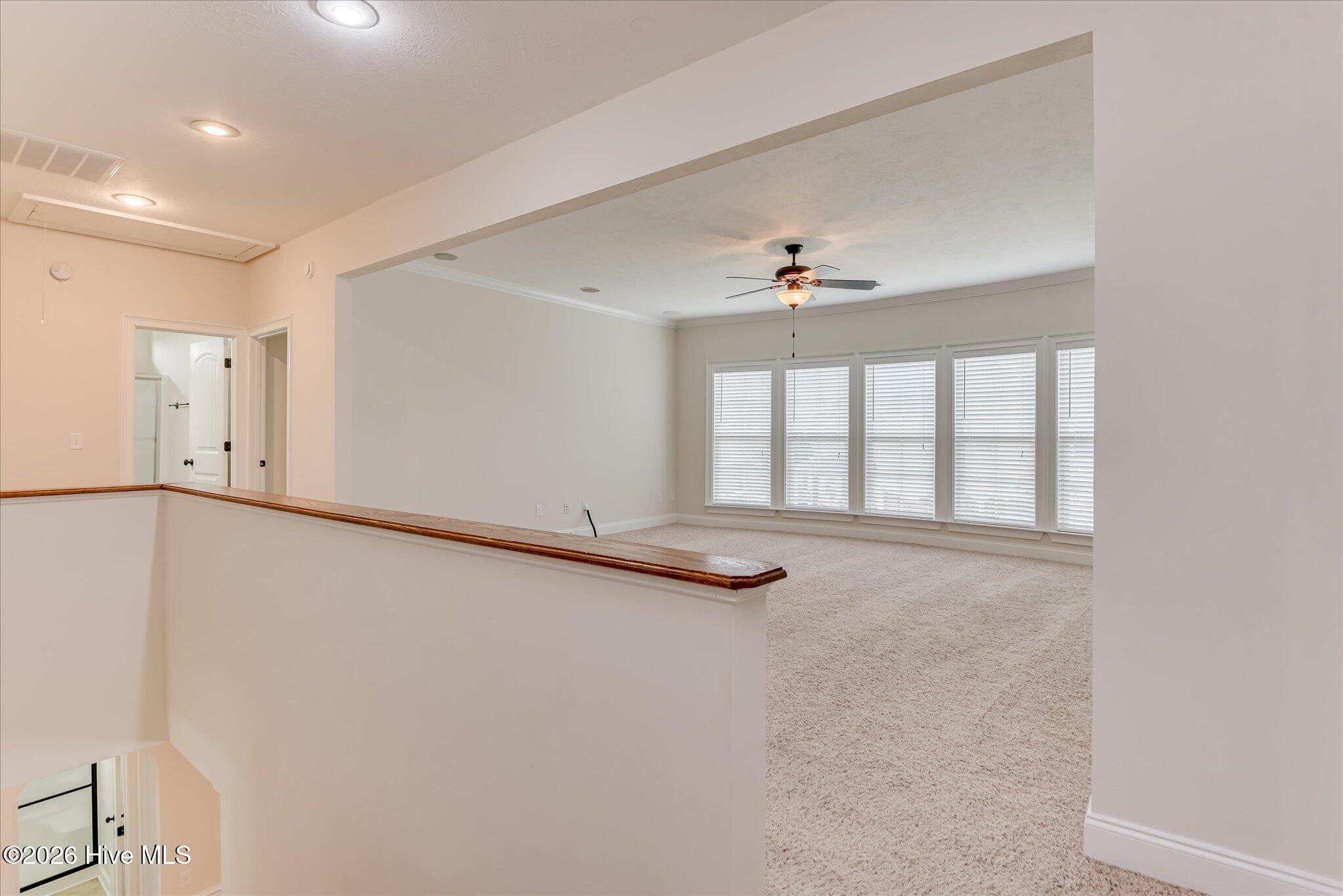 1016 Winding Trail Property Photo 26