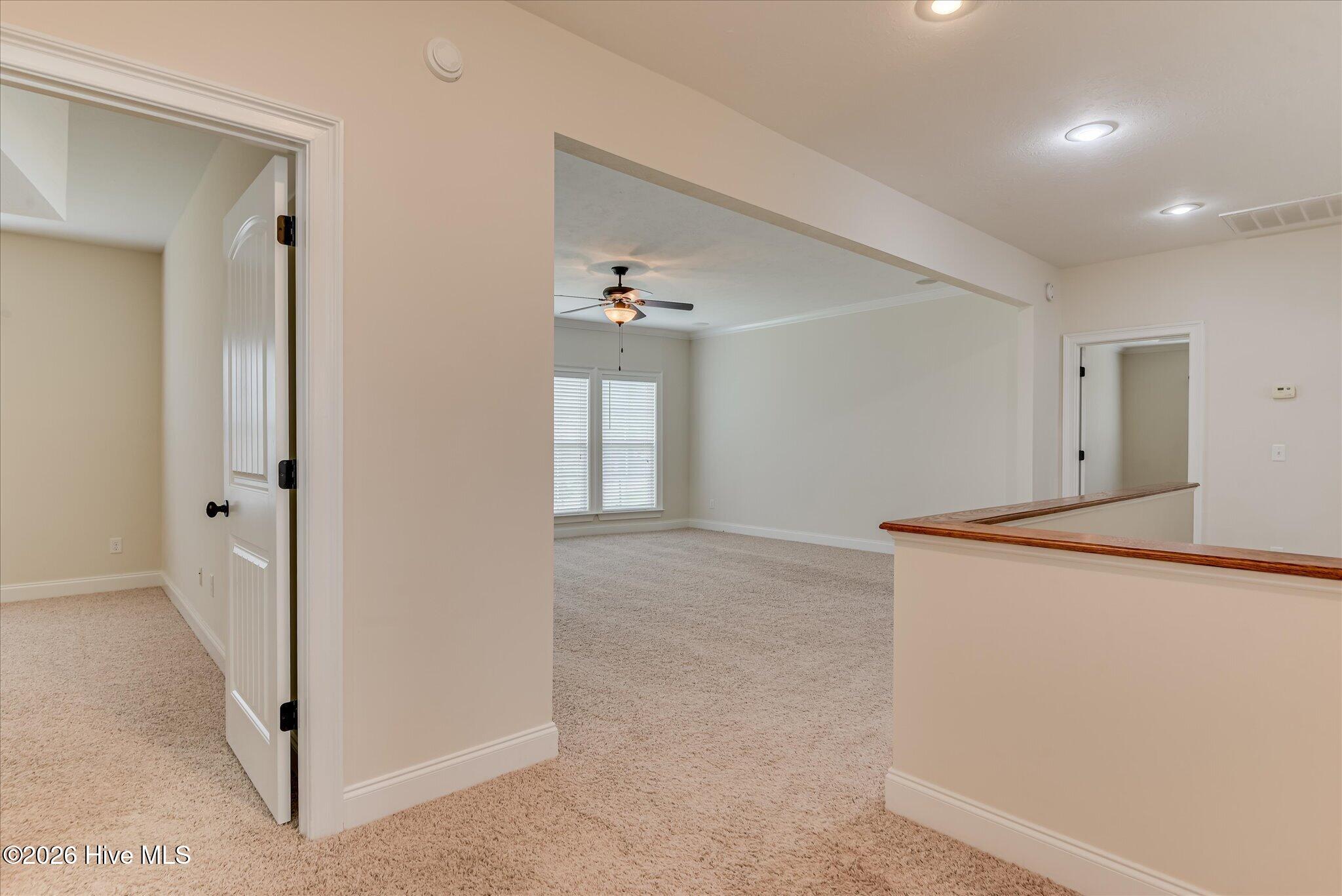 1016 Winding Trail Property Photo 28