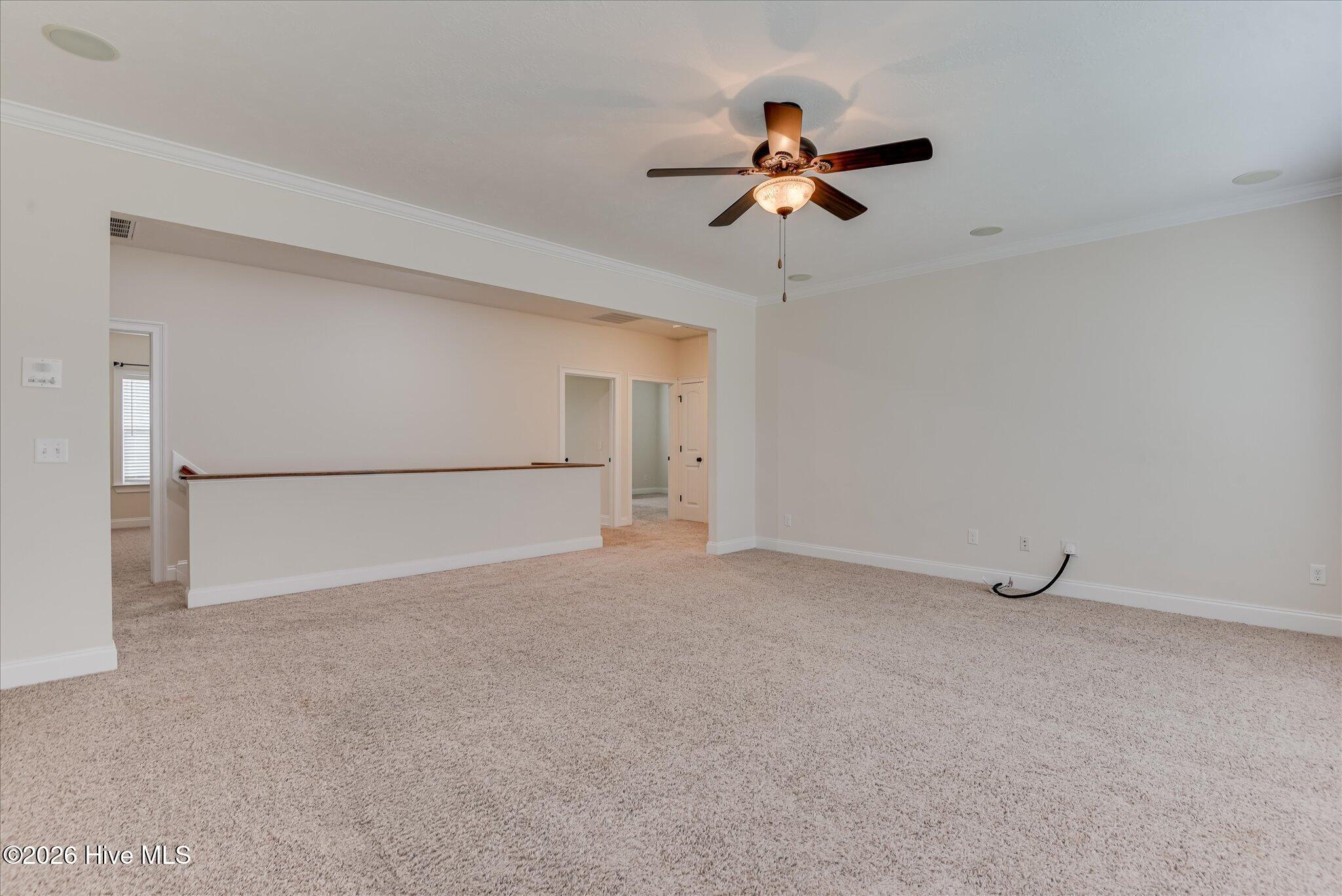 1016 Winding Trail Property Photo 30