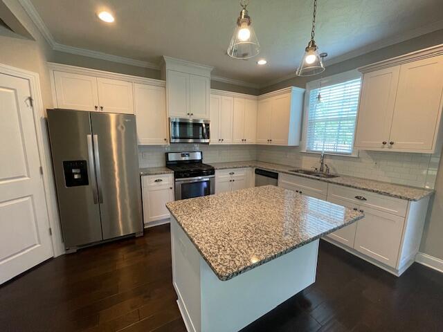 546 Bunchgrass Street Property Photo 5