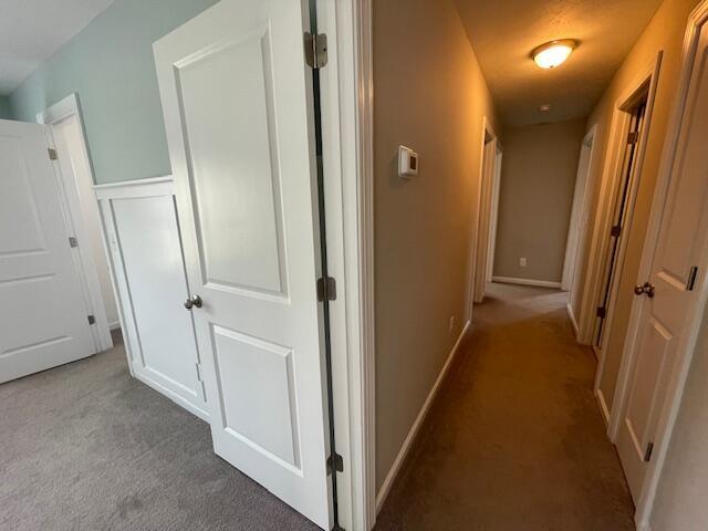 546 Bunchgrass Street Property Photo 11