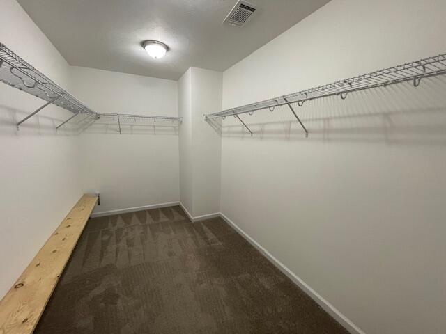 546 Bunchgrass Street Property Photo 14