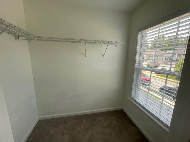 546 Bunchgrass Street Property Photo 17
