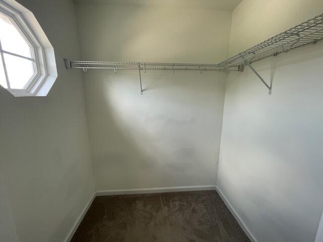 546 Bunchgrass Street Property Photo 20