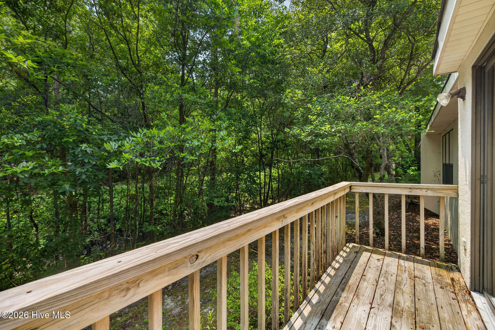 971 Birch Creek Drive Property Photo 43