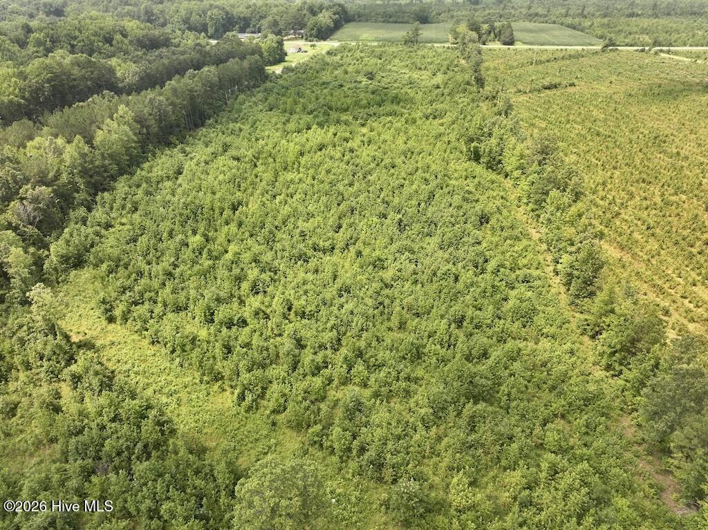 15 Rainbow Road Property Photo 10