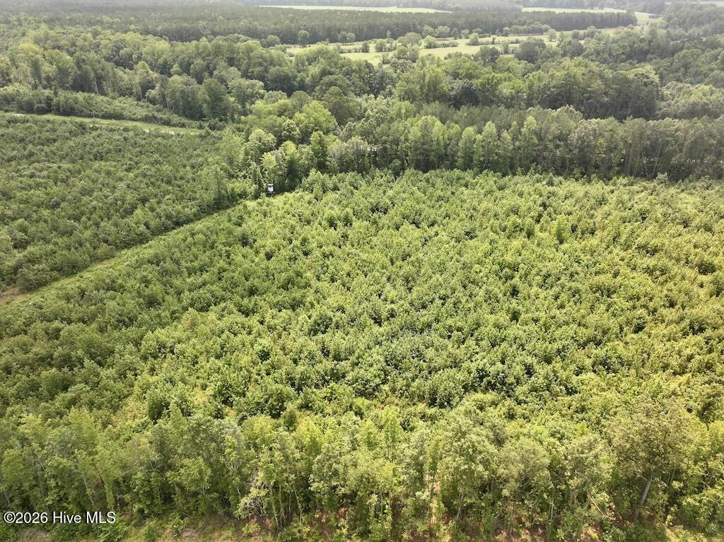 15 Rainbow Road Property Photo 12