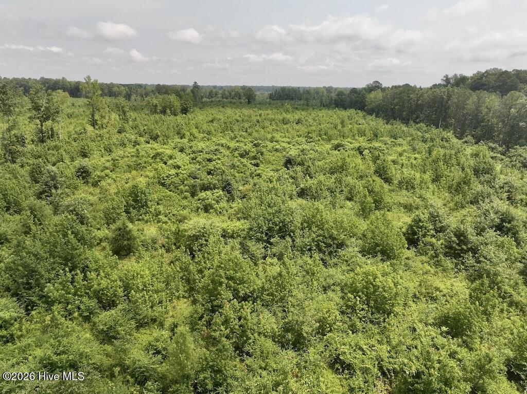 15 Rainbow Road Property Photo 16