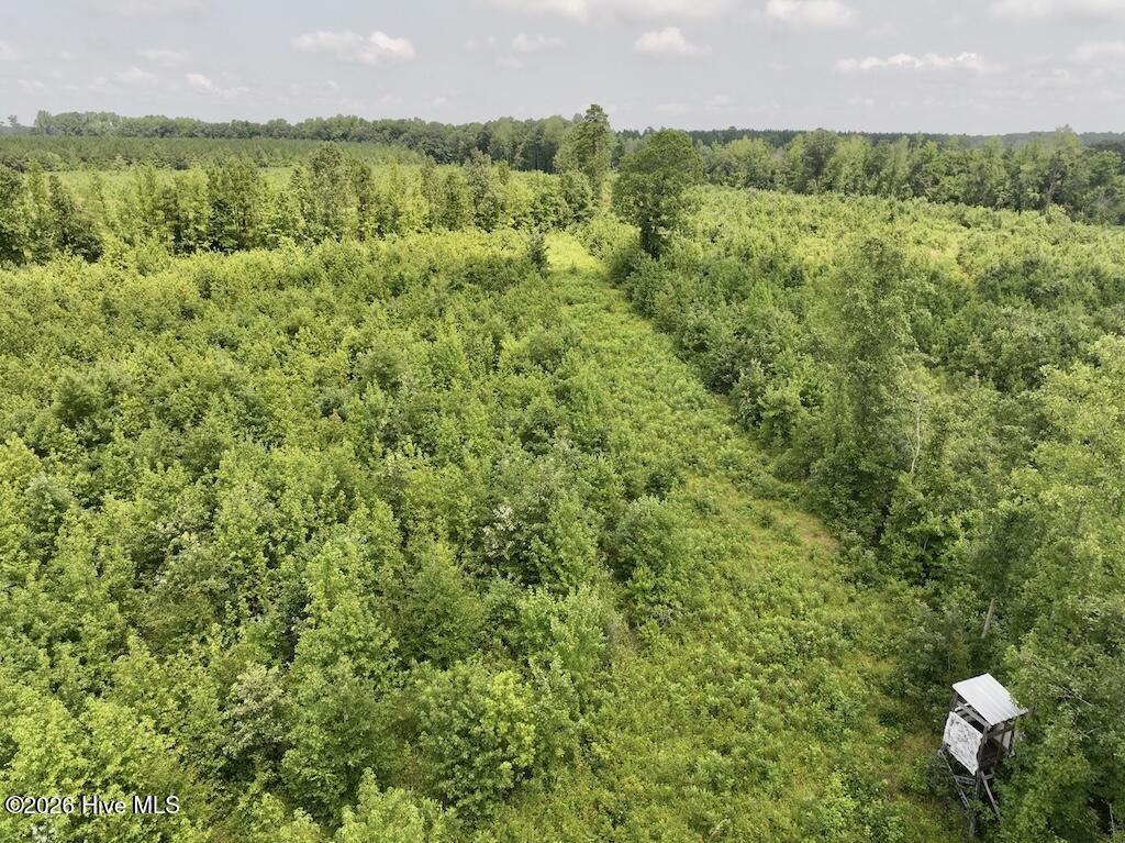 15 Rainbow Road Property Photo 18
