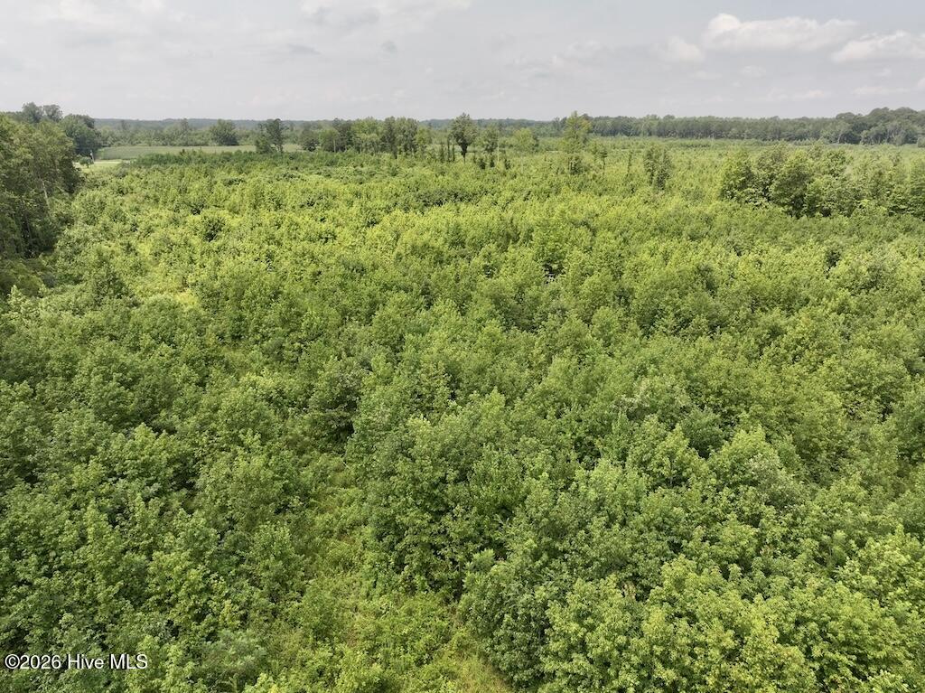15 Rainbow Road Property Photo 19
