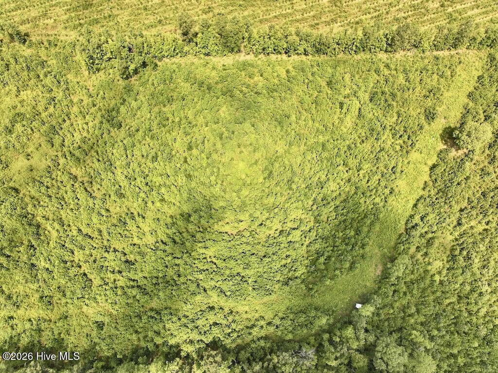 15 Rainbow Road Property Photo 20