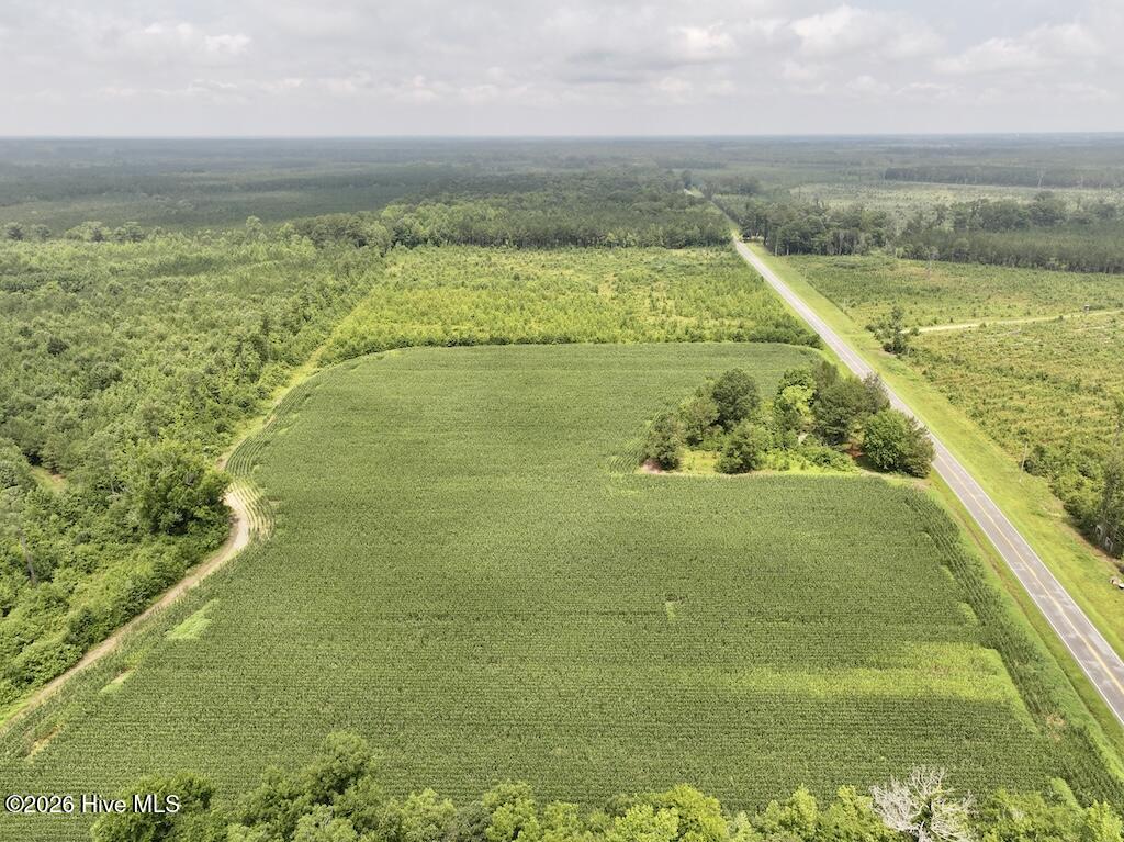 0 Hwy 561 Property Photo 3