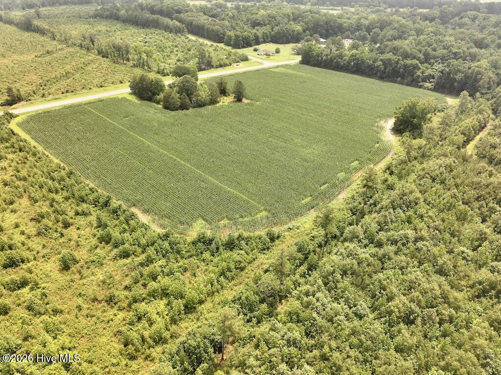 0 Hwy 561 Property Photo 7