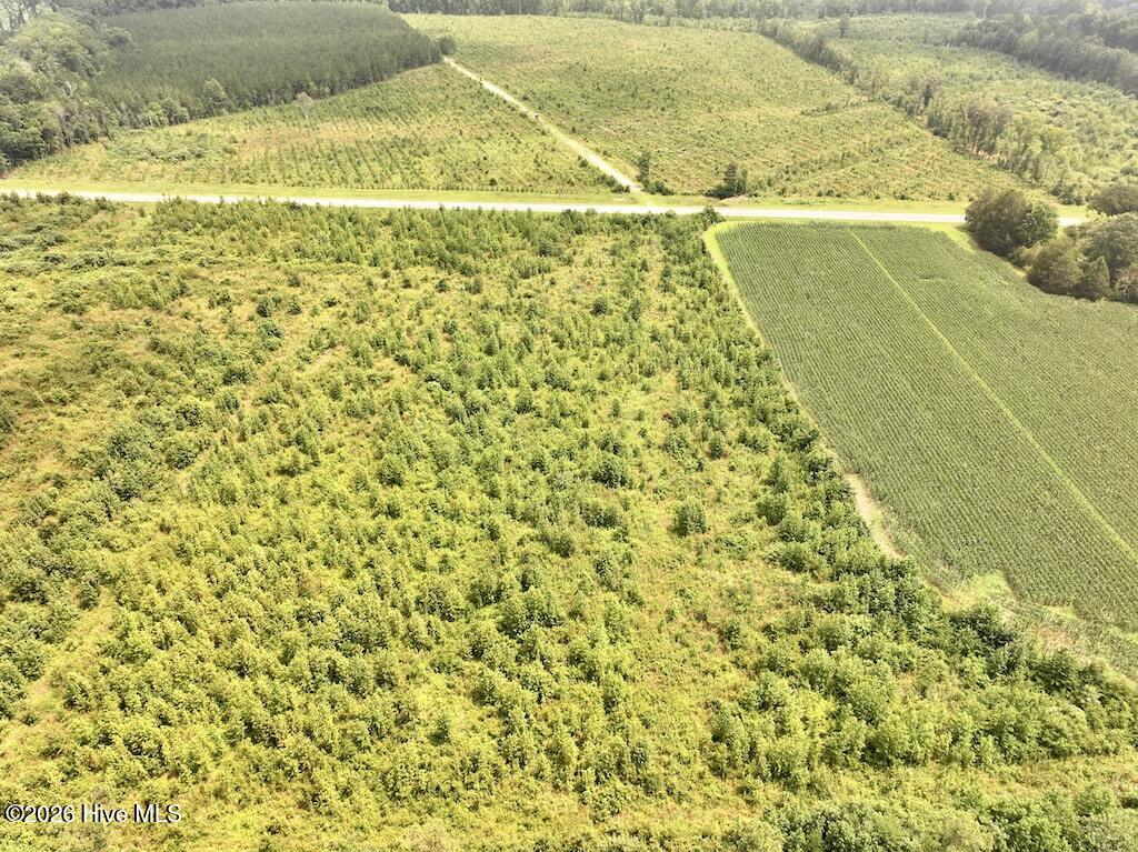 0 Hwy 561 Property Photo 8