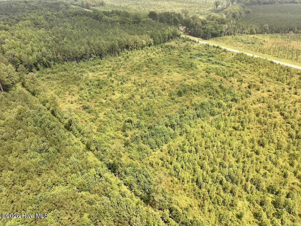 0 Hwy 561 Property Photo 9