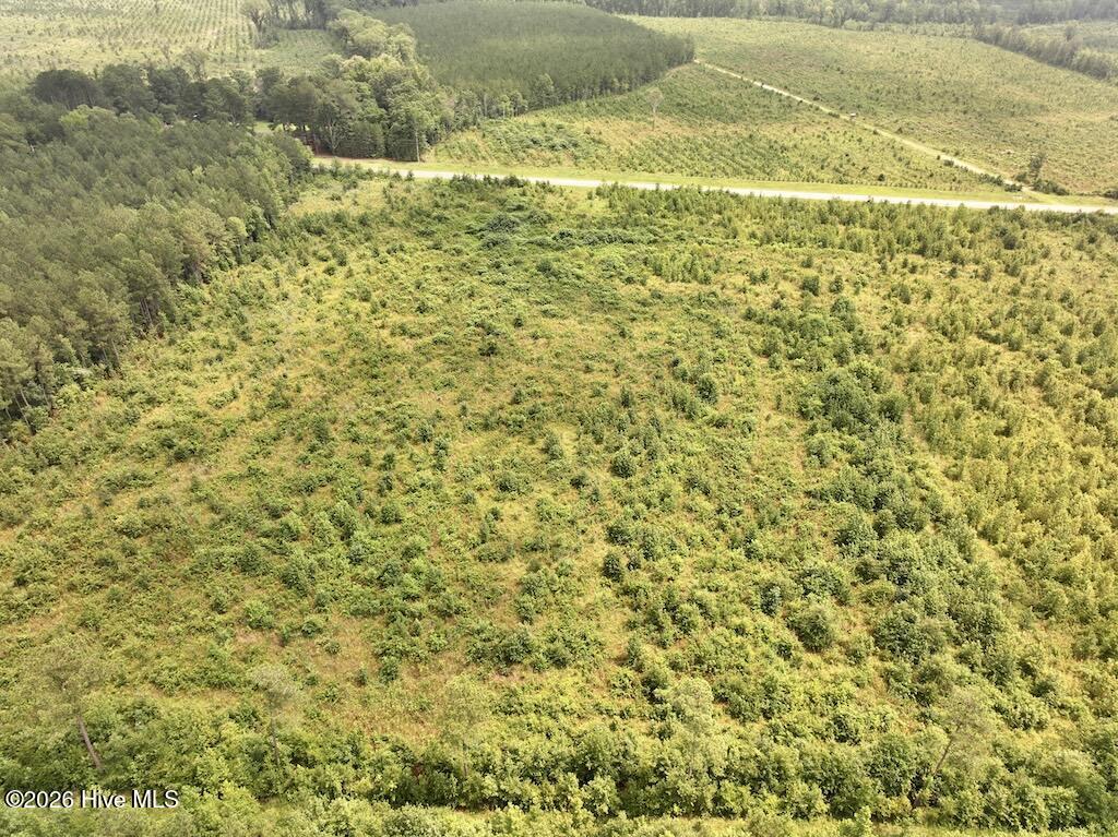 0 Hwy 561 Property Photo 10