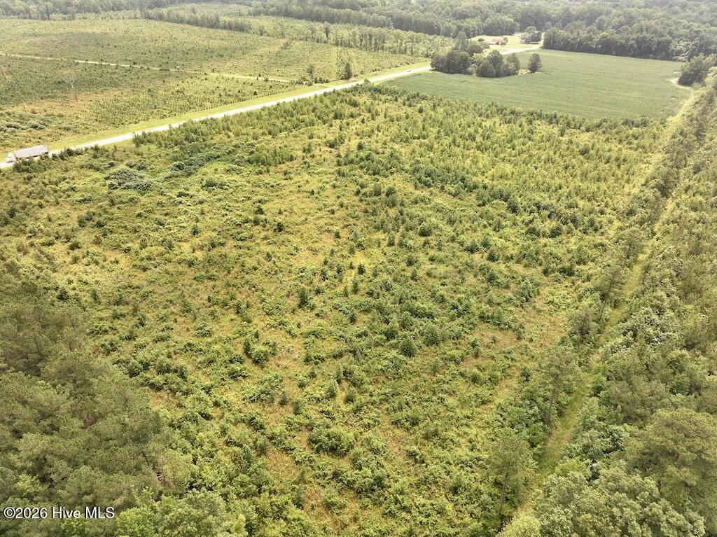 0 Hwy 561 Property Photo 11