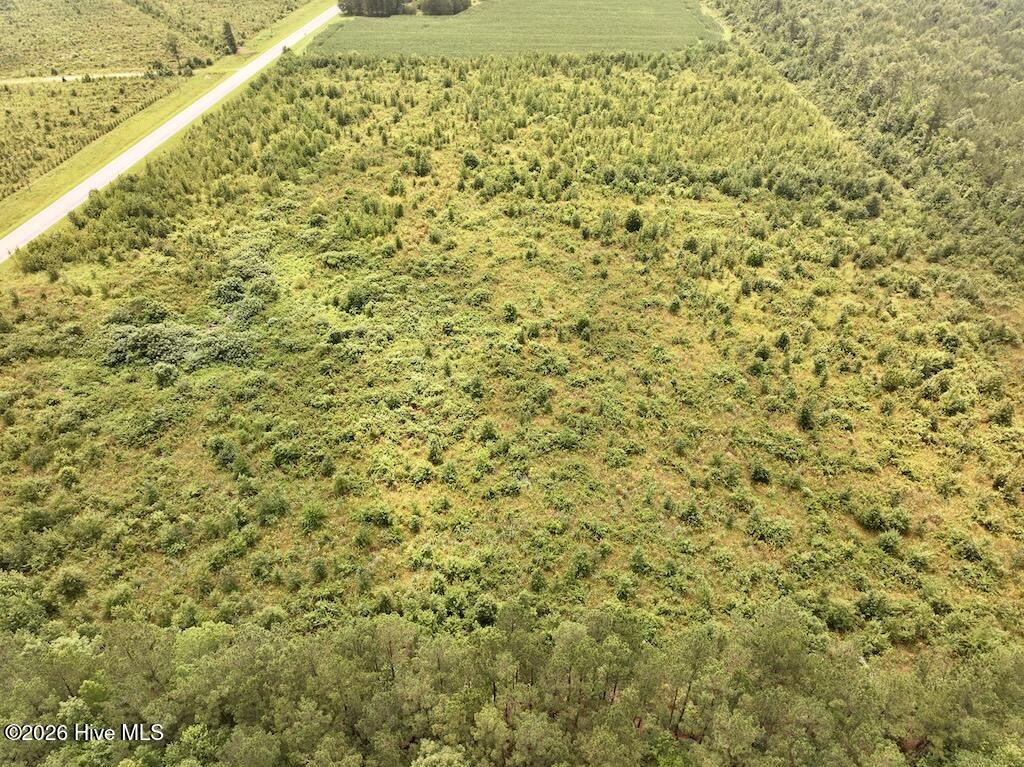 0 Hwy 561 Property Photo 12