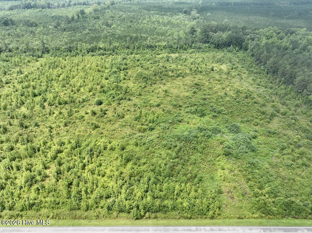 0 Hwy 561 Property Photo 14