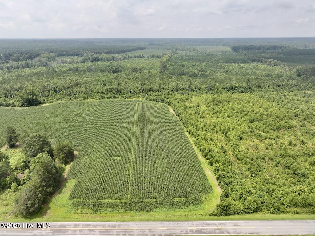 0 Hwy 561 Property Photo 16