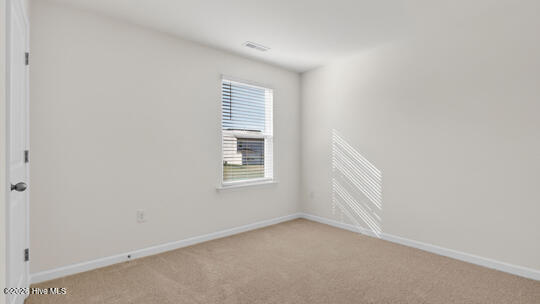 508 Chestnut Oak Drive Property Photo 22