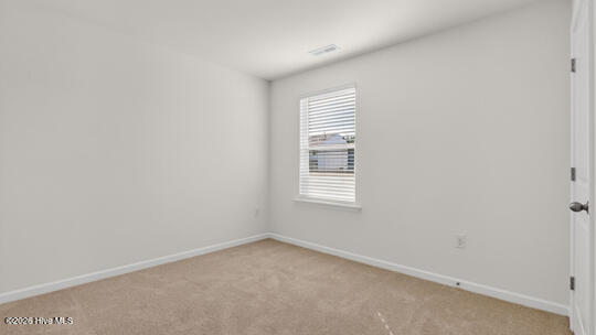 508 Chestnut Oak Drive Property Photo 23