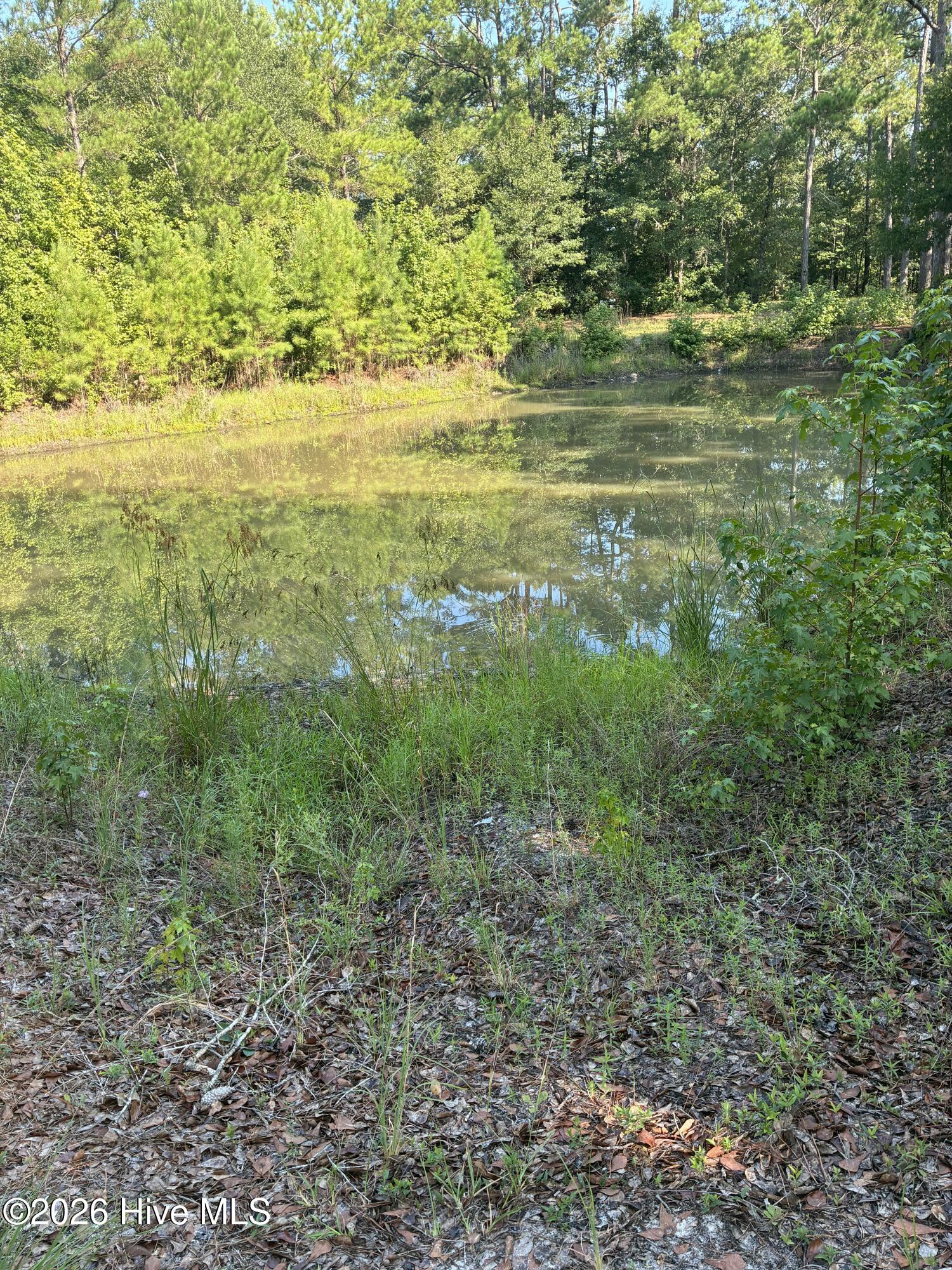 0 Gully Creek Trail Ne Property Photo 2