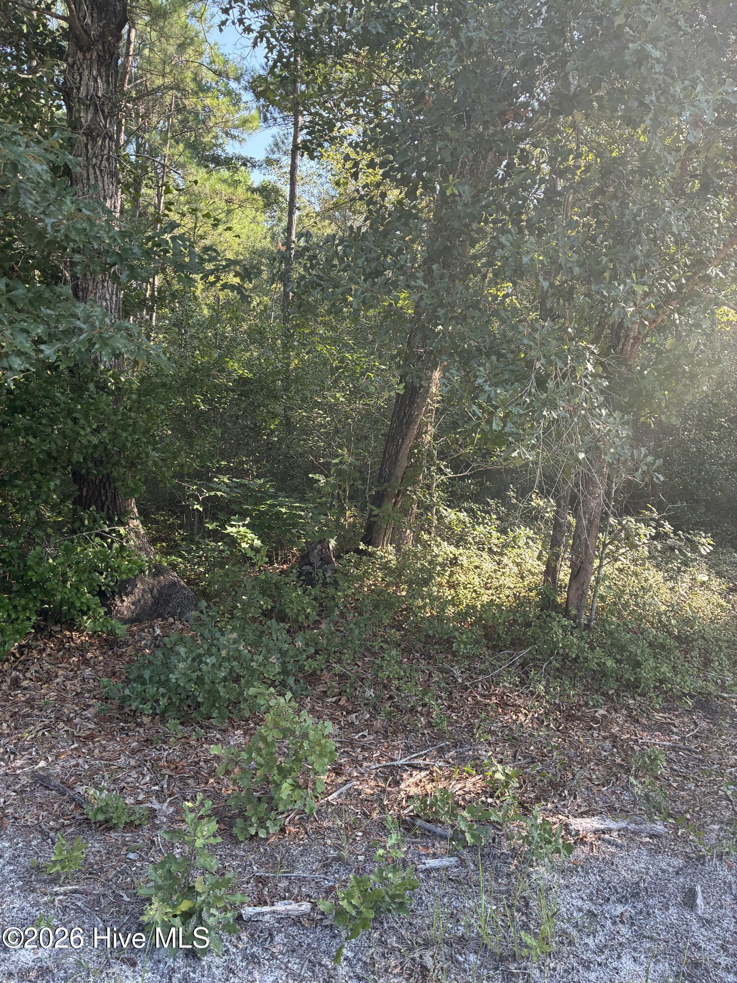 0 Gully Creek Trail Ne Property Photo 3