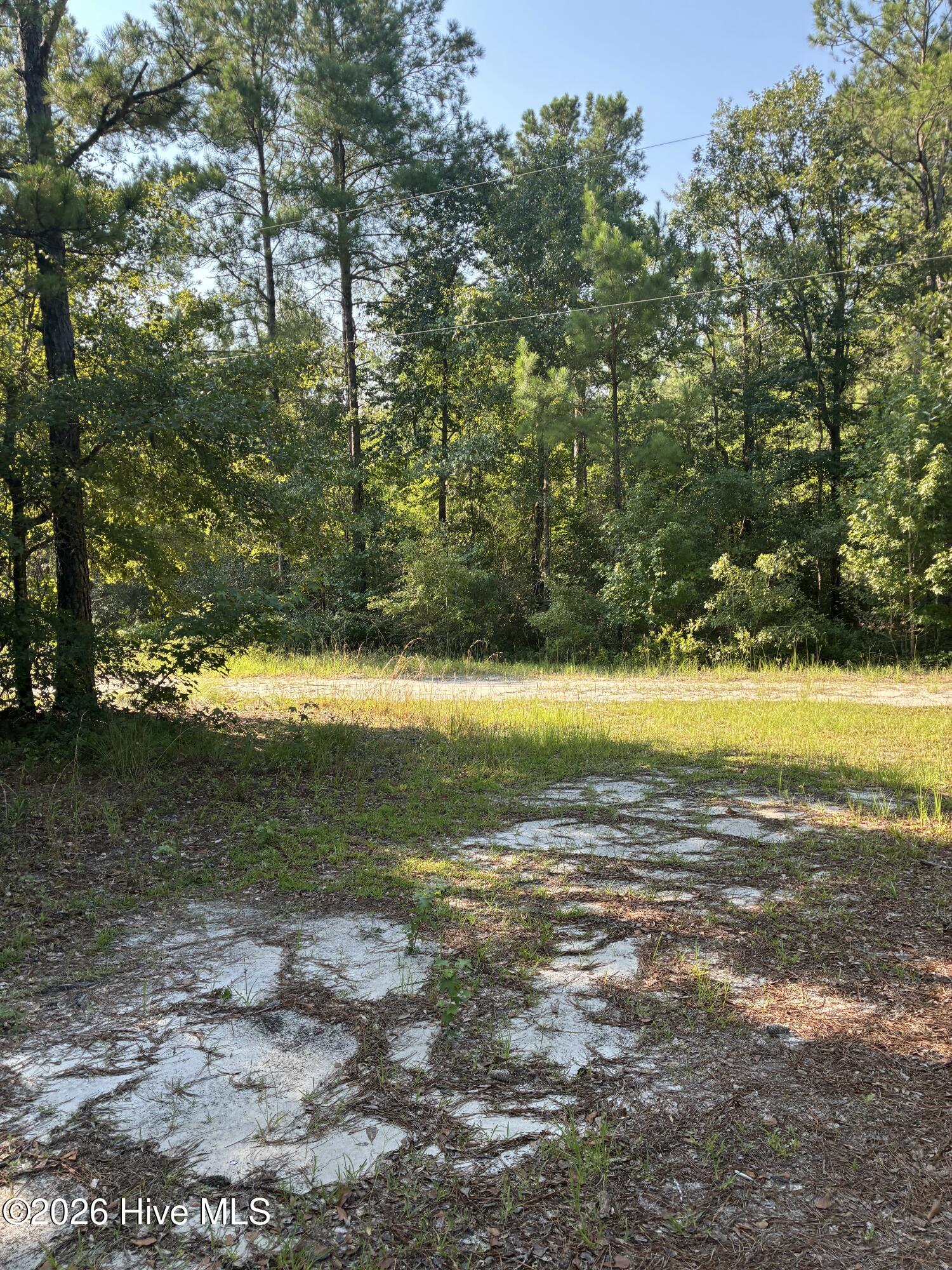 0 Gully Creek Trail Ne Property Photo 4