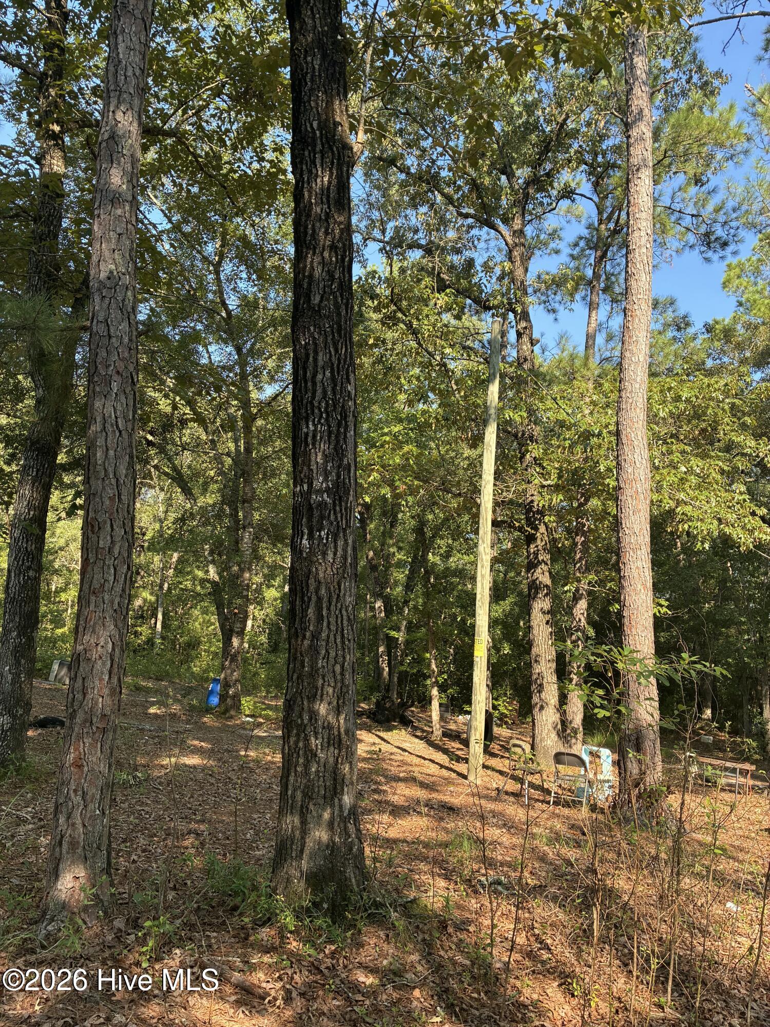 0 Gully Creek Trail Ne Property Photo 5