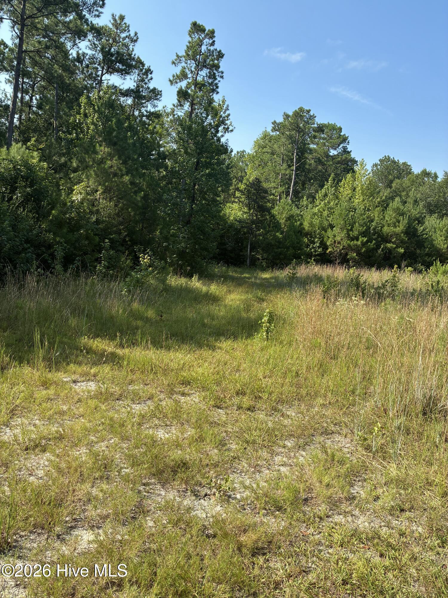 0 Gully Creek Trail Ne Property Photo 7