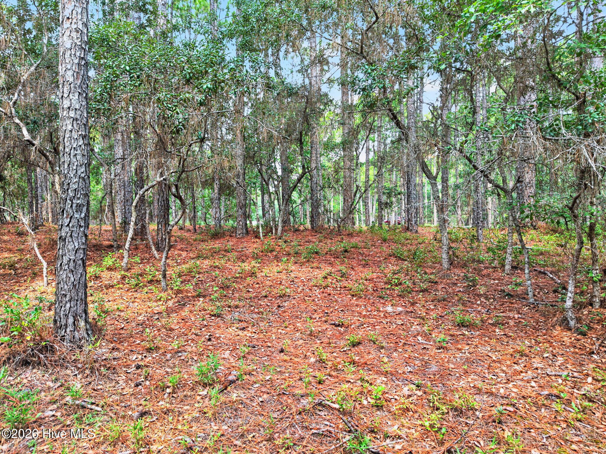 539 450 Verona Pointe Se Property Photo 3