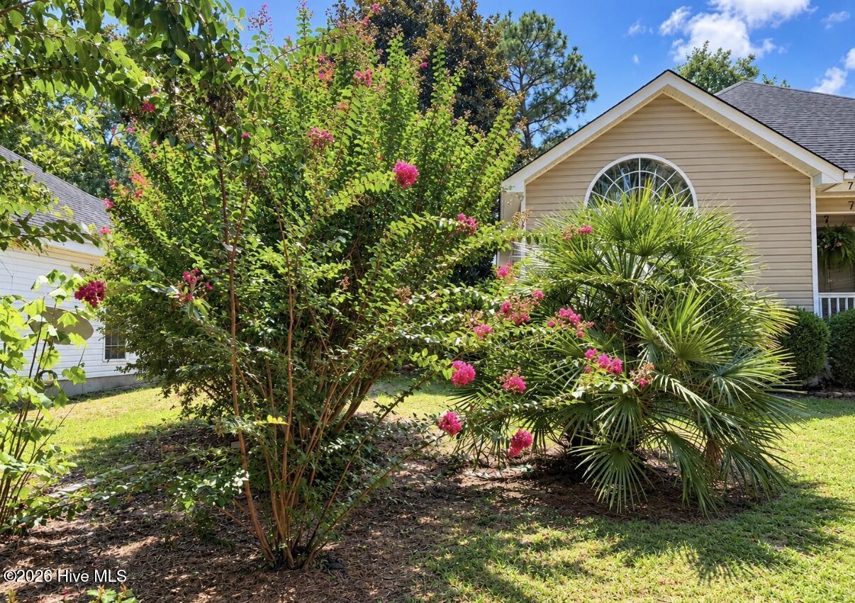 7 Deer Drive Property Photo 2