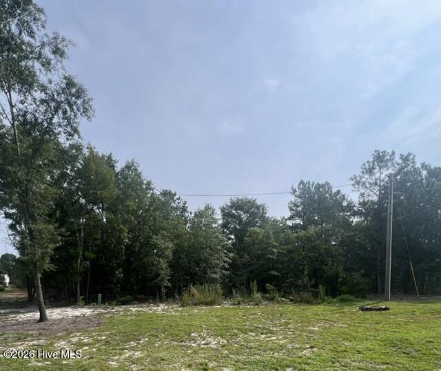 200 Mount Moriah Church Road Property Photo 19