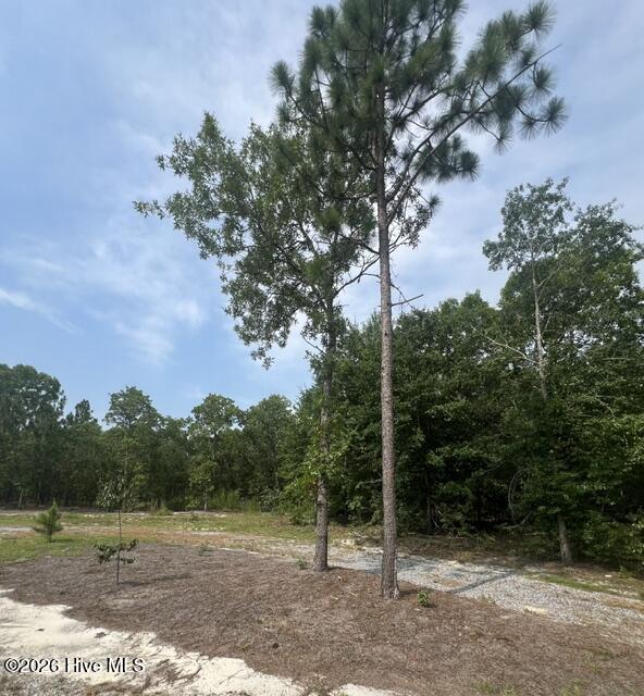 200 Mount Moriah Church Road Property Photo 20