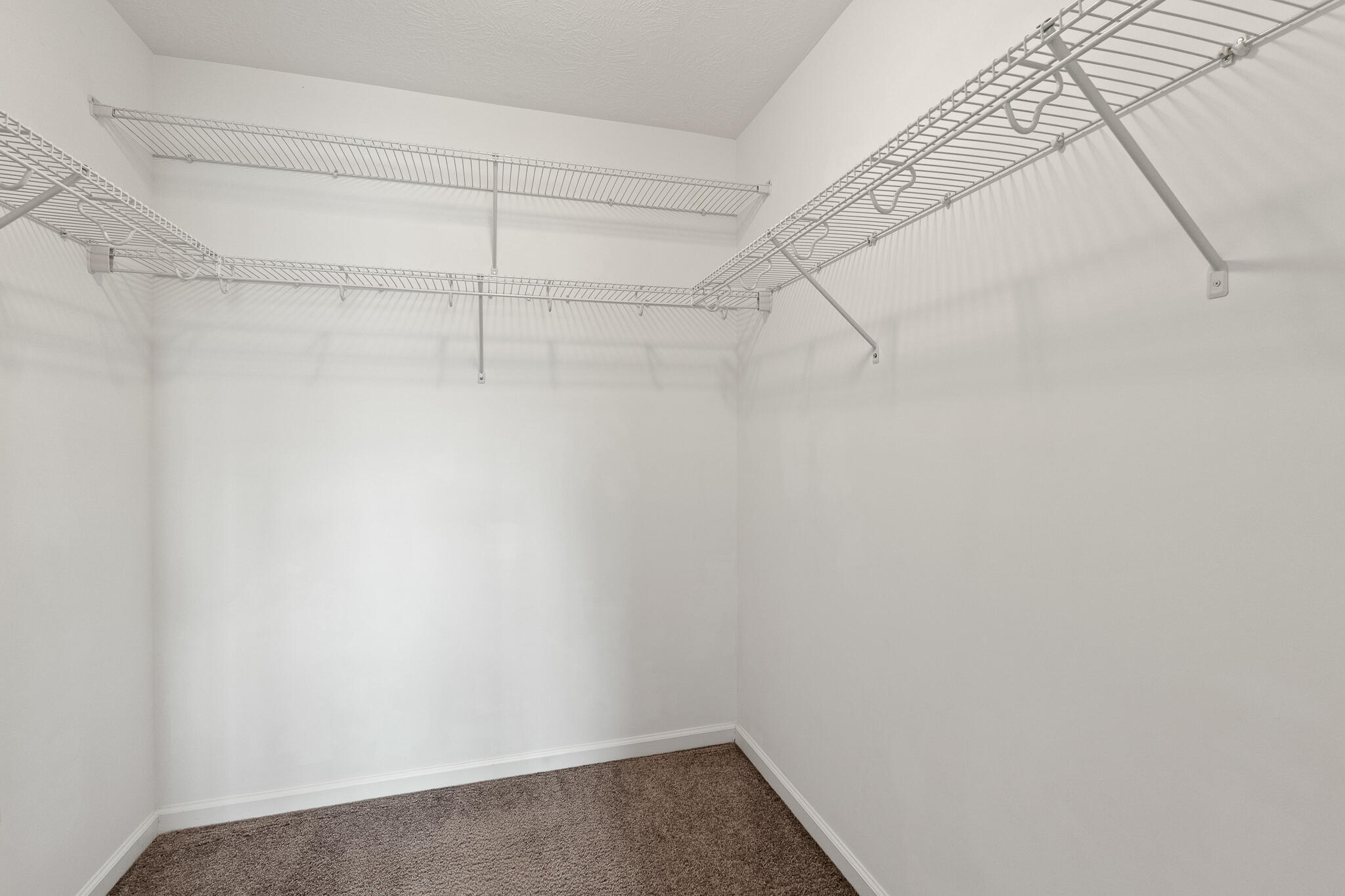 435 Brantley Cove Circle Property Photo 12