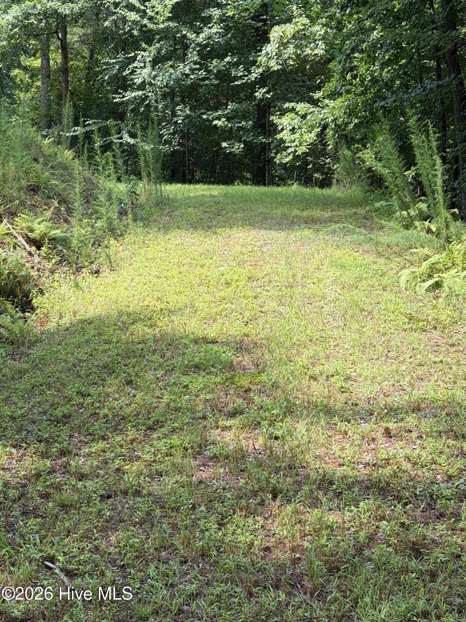 0 Rockridge Road Property Photo 3