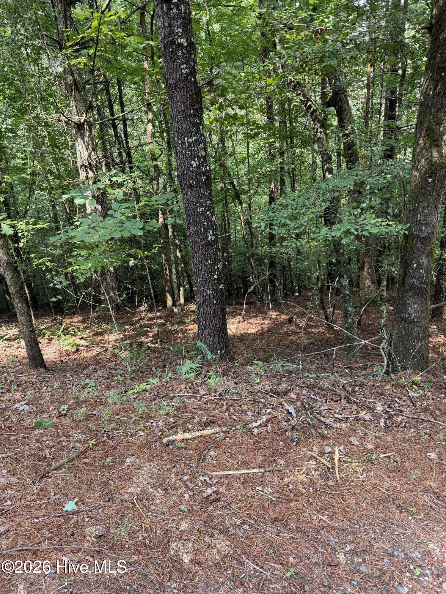 0 Rockridge Road Property Photo 10