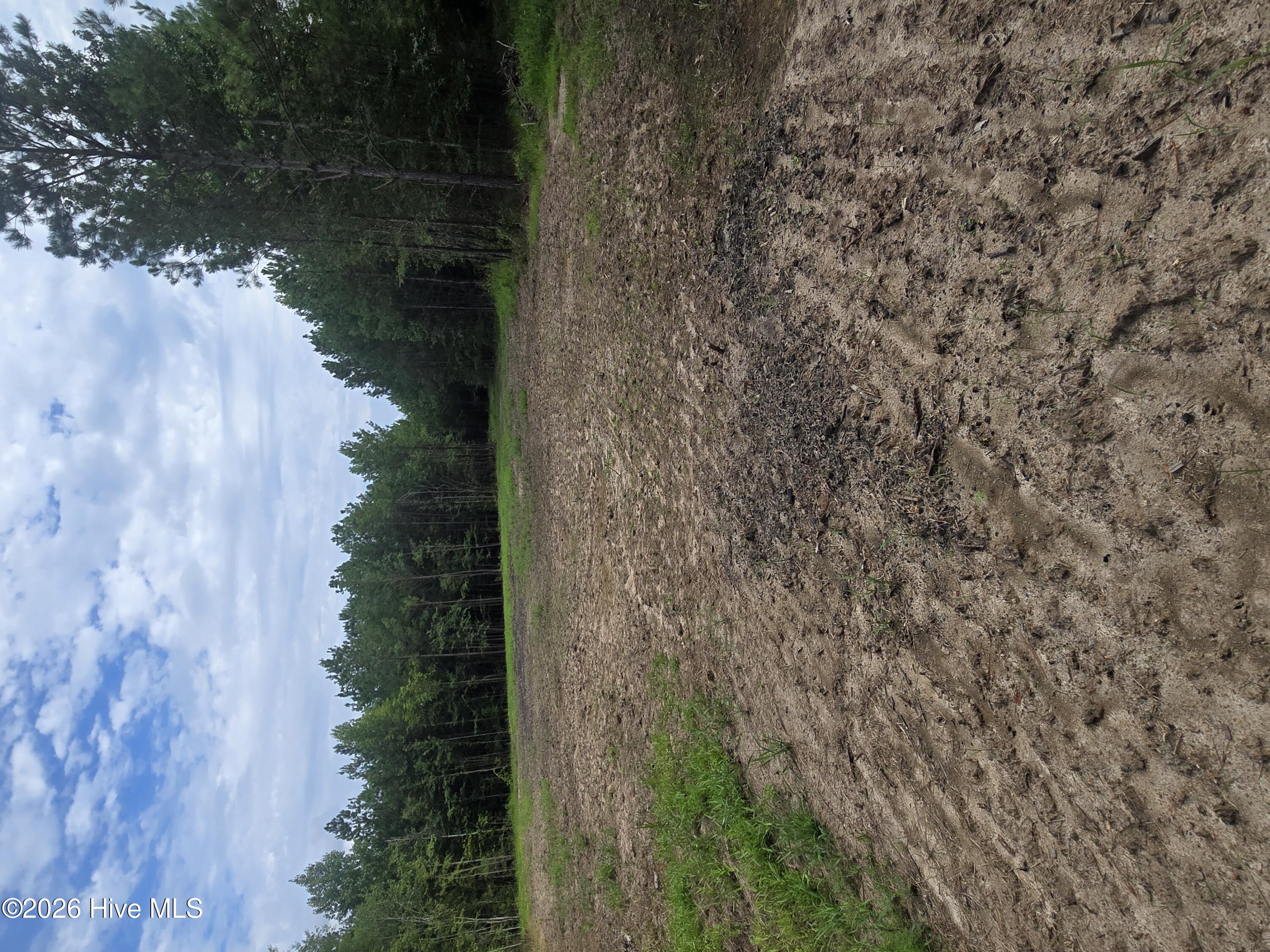 0 Netherland Road Property Photo 2