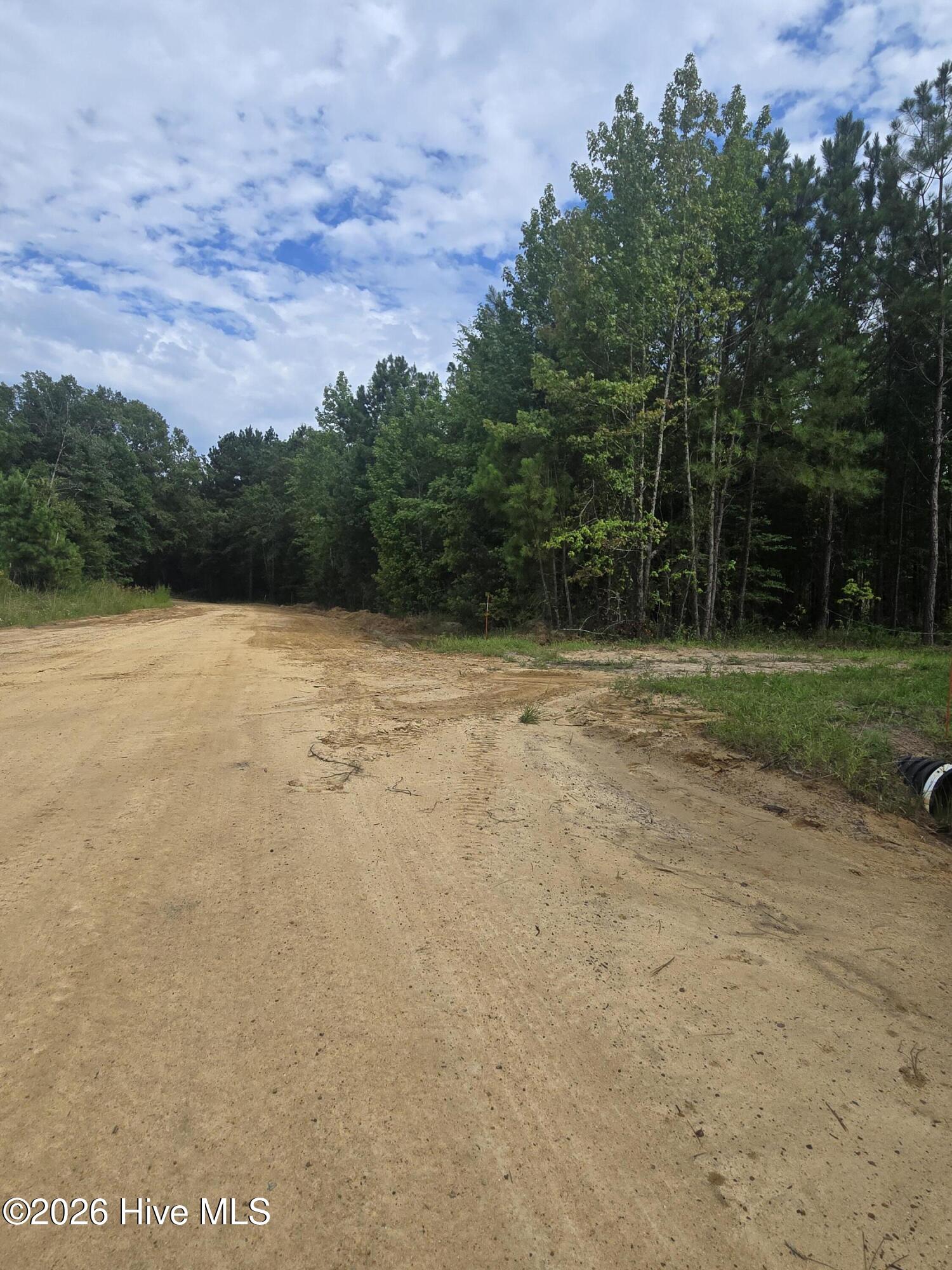 0 Netherland Road Property Photo 3