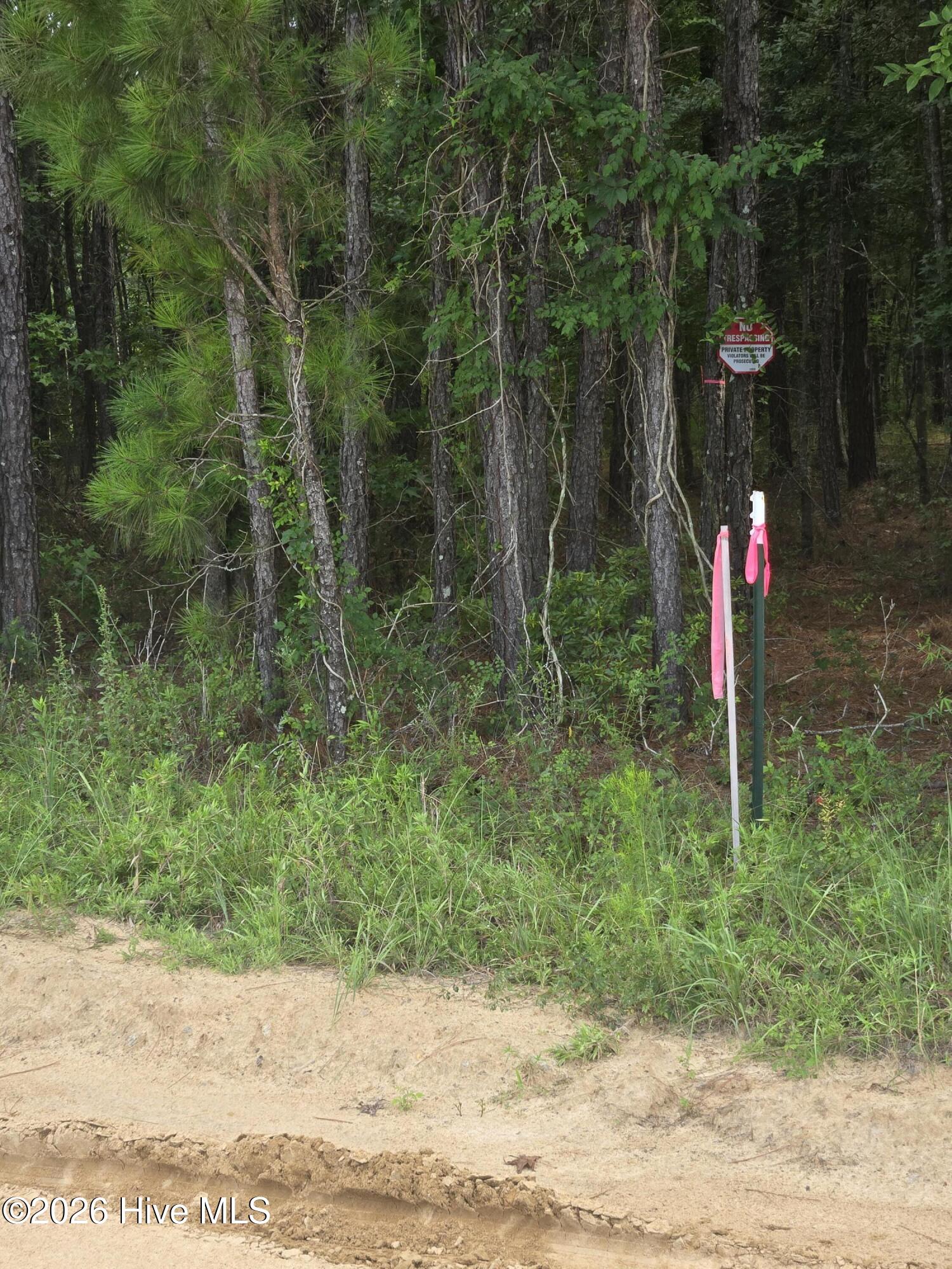 0 Netherland Road Property Photo 4