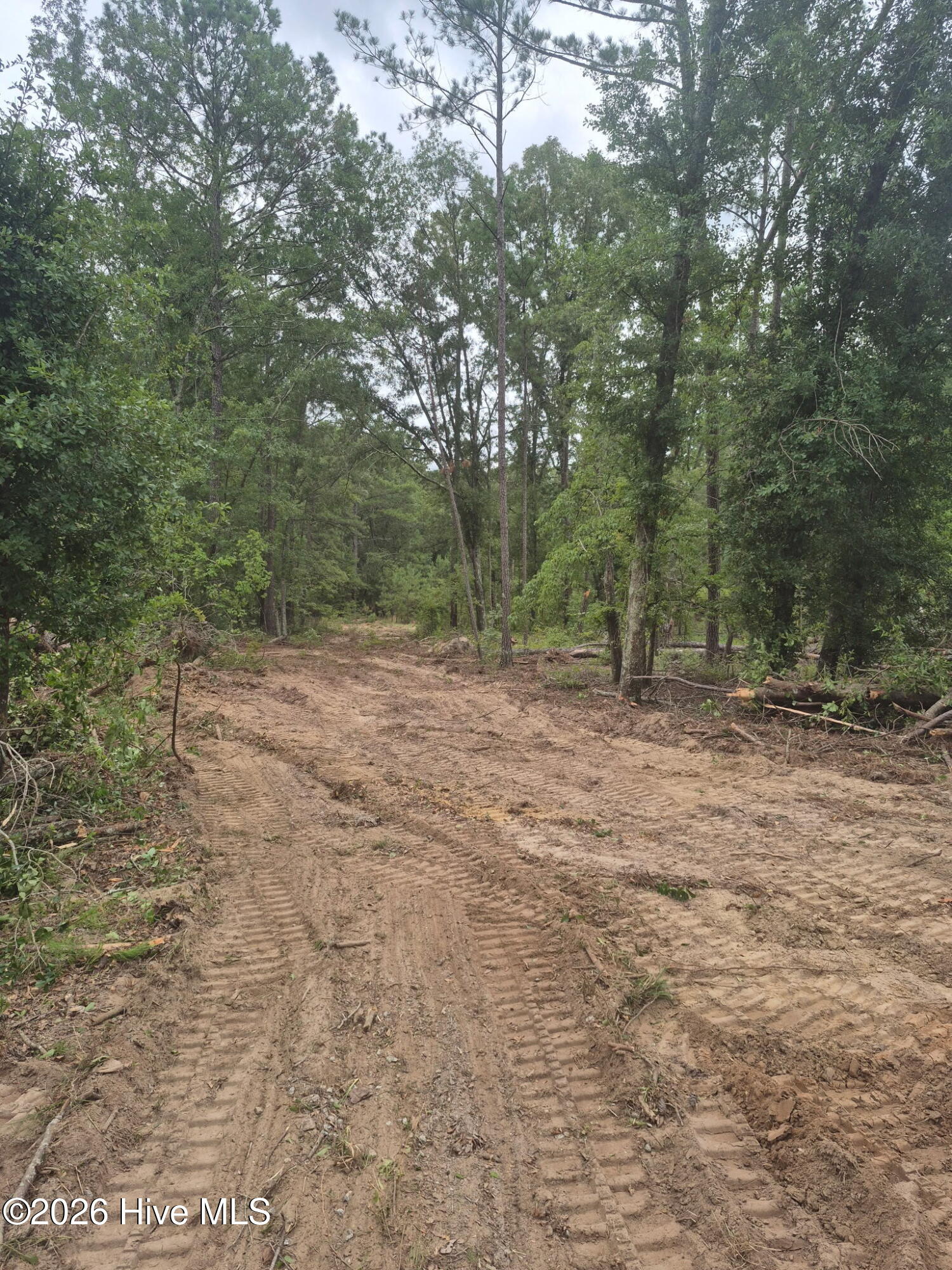 2115 Lavender Trail Property Photo 3